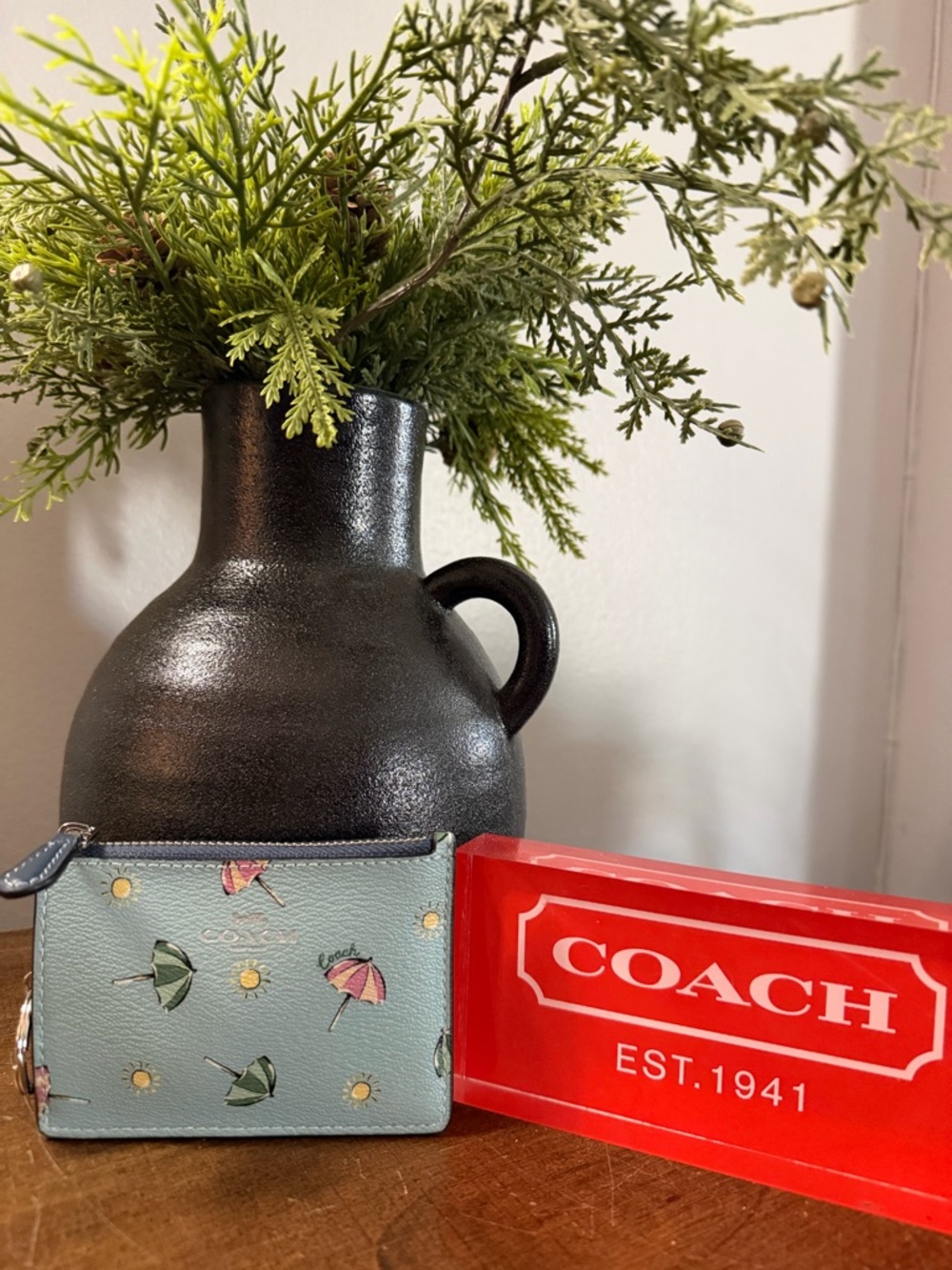 Coach Beach Umbrella Mini Skinny ID Card Case with Keyring